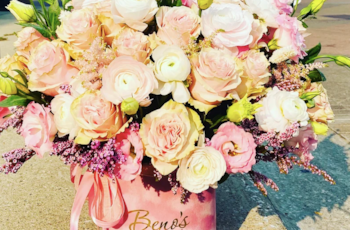 Colorful flowers with Beno's on the vase